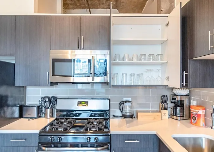 Luxury Cozy 2br With Optional Parking And Gym Access Near Mccormick Place, Lakefront And Soldier Field Apartment Chicago